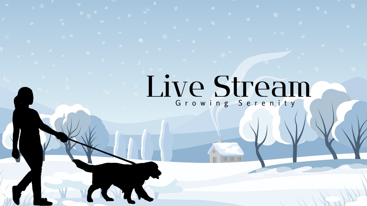 a beautiful day for a walk with Leo