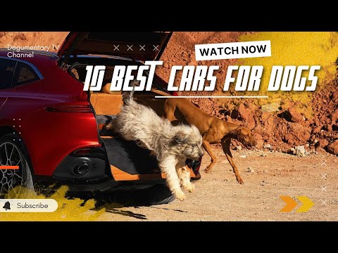 10 BEST CARS FOR DOG OWNERS