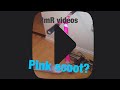 PUSSY PINK SCOOT 