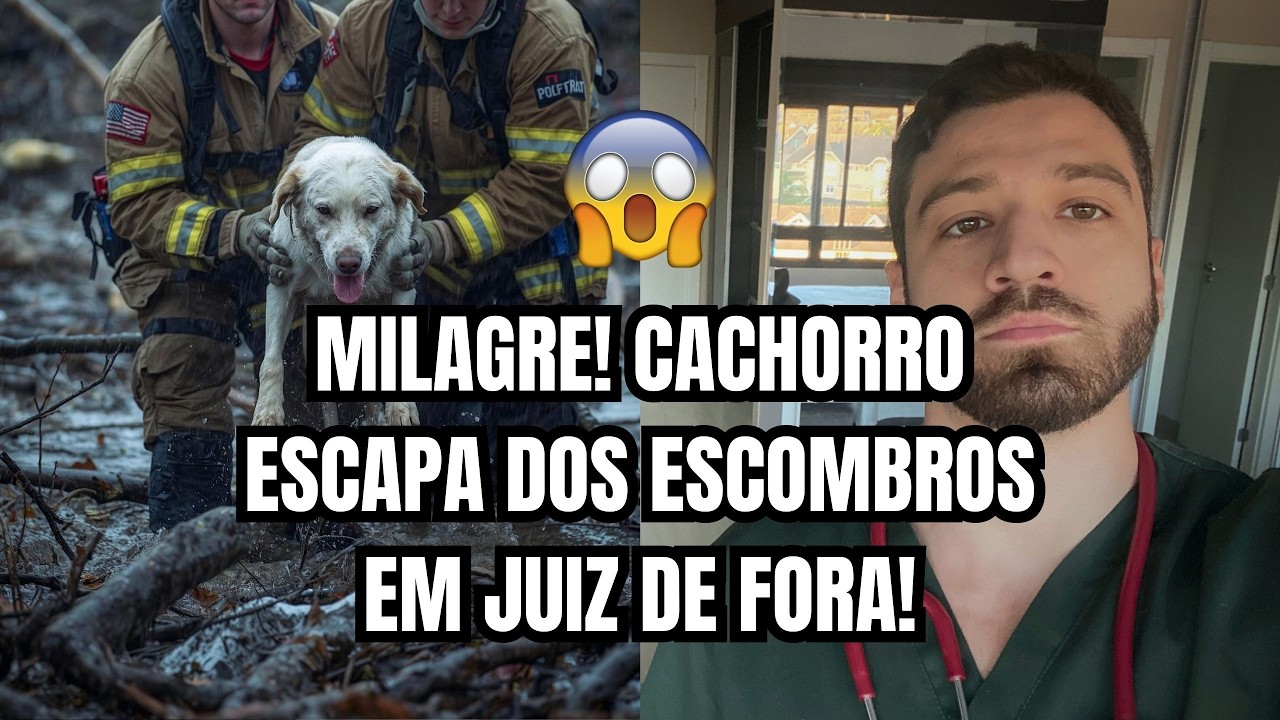 Cena emocionante em MG: cachorro sobrevive soterrado em enchentes de Minas Gerais