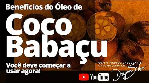 O que pode ser feito com o babaçu?