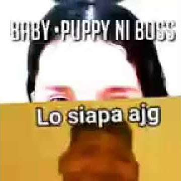 Vidio Baby Pupy Viral