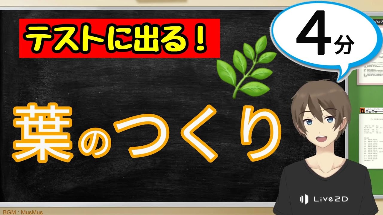 これで完ぺき 理科の総まとめ 動物と植物の生きるしくみ ふたば塾 中学校無料オンライン学習サイト