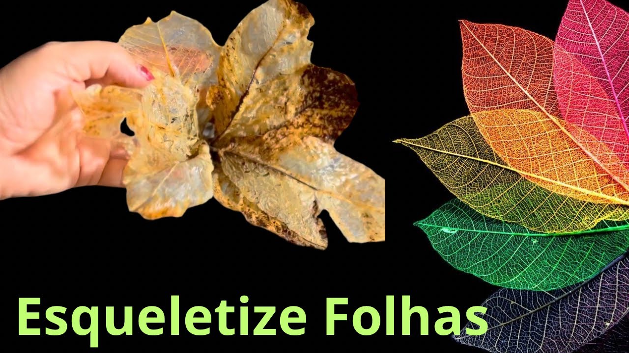 COMO ESQUELETIZAR FOLHAS E RESINAR PARA ETERNIZAR - YouTube