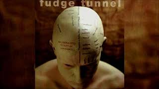 Fudge Tunnel - The Complicated Futility Of Ignorance (1994) [Full
