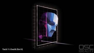 OSC - Overlit (Part II) | Retrowave Synthwave Funk