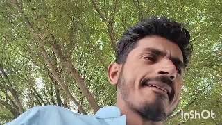 Fast video