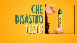 Che disastro (testo)