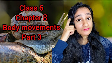 Class 6 Science Chapter 8 Body Movements | Part 3 | support and movement in animals
