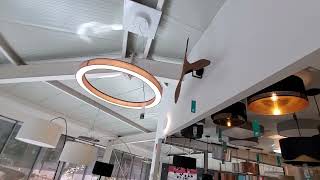 Ceiling fans at Eglo lighting