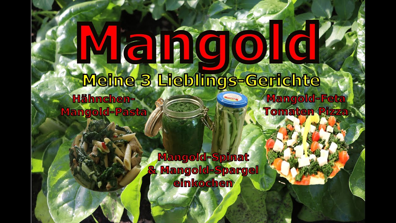 Mangold jetzt noch säen - meine 3 Lieblings-Rezepte