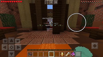 Minecraft Hive and the Steve glitch!