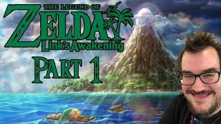 Barb plays Link's Awakening Part 1 - So cute it HURTS