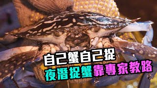 東張西望 | 自己蟹自己捉 夜潛捉蟹靠專家教路 東張西望 | 自己蟹自己捉 夜潛捉蟹靠專家教路
