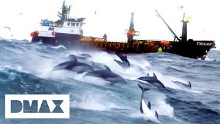 Captain Johnathan Hillstrand Finds Pod Of 3000 Dolphins Deadliest Catch
