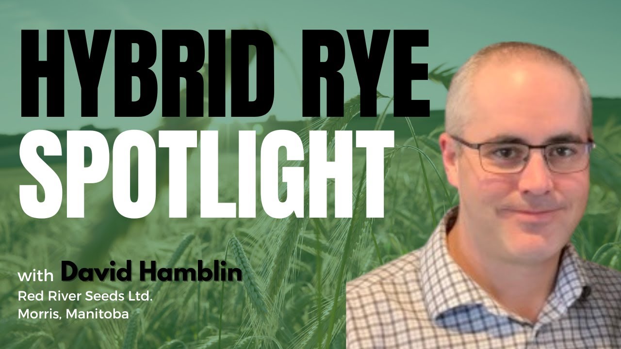 KWS Hybrid Rye, Retail Seed Business, KWS Cover+ Program, and Market Outlook | Product Spotlight