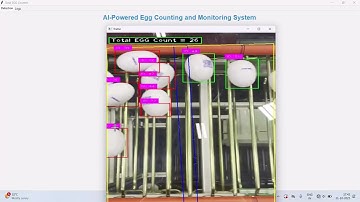 AI-Powered Egg Packing Total Counting System using Computer Vision
