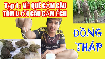 Về đồng tháp cắm câu ếch tập 1 (cách tóm lưỡi câu)||  GIA ĐÌNH MÓN ĂN