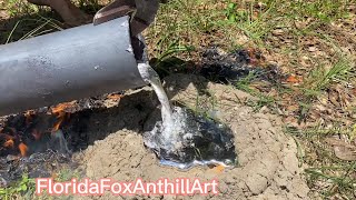 Massive Black Ant Colony Casted With Molten Aluminum (Anthill Art) #16