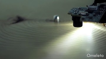 what do tree rings sound like when played like a record?