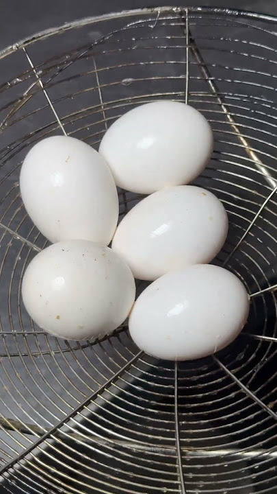 #dj #remix #party #music #newmusic #multanstreetfood #food #lifeisbutadream