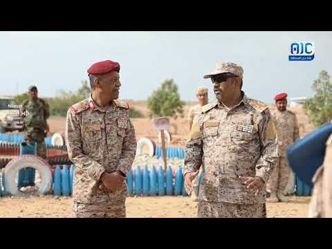 الوحدات الهندسية للنخبة الحضرمية... دور محوري في تطهير ساحل حضرموت من الألغام بعد دحر الإرهاب