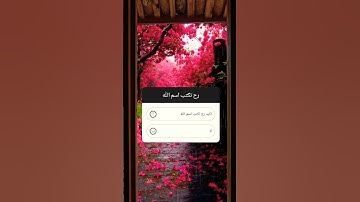 القرآن الكريم ربيع قلوبنا ونور صدورنا ❤❤
