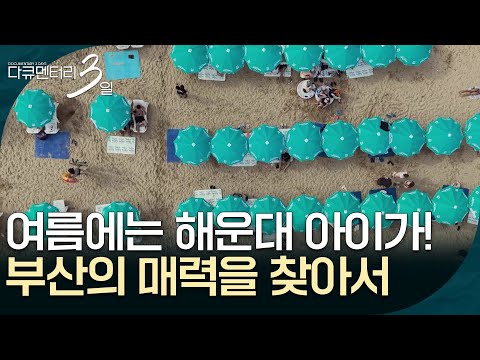 여름에는 해운대 아이가! 부산의 매력을 찾아서 [다큐멘터리 3일] | KBS 260720 방송