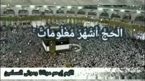 حالات واتساب قرآن كريم الْحَجُّ أَشْهُرٌ مَّعْلُومَاتٌ ۚ  .. وديع اليمني