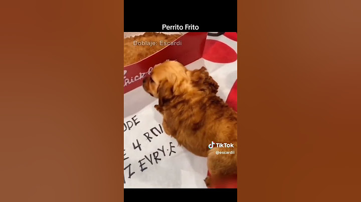 Perrito Frito