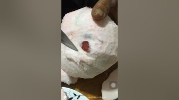 Bưởi  Ruby Thái Lan | Ăn thử trái bưởi Ruby đầu tiên ở Bình Tân -Vĩnh Long