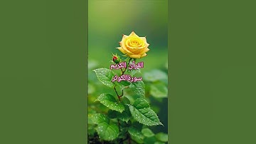 #surahkawthar #سورة_الكوثر #القرآن_الكريم #egzonibrahimi#اللهم_صل_وسلم_على_نبينا_محمد#hearttouching