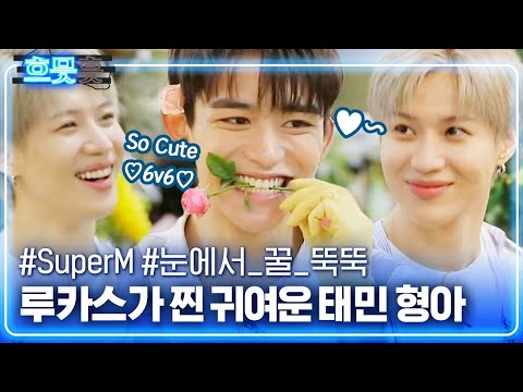 [#흐므흣] <strong>꽃집</strong> 주인이 태민(TAEMIN) X 루카스(LUCAS) 라면? 무슨 꽃 찾으러 오셨나요? 태민꽃과 루카스꽃이요,, | #원하는대로 #Diggle