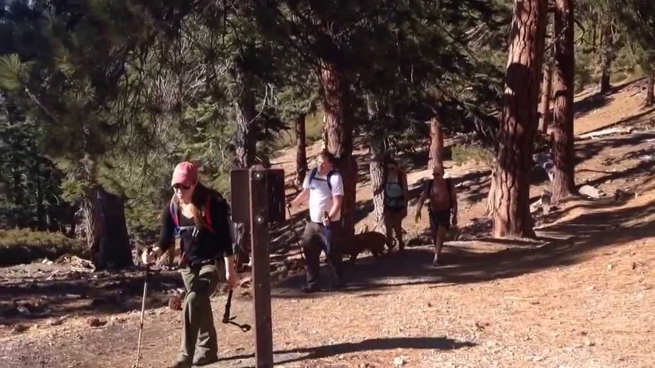 Ice House Canyon Trail to Timber Mountain