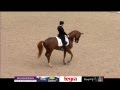 Severo Jurado & Lorenzo - Freestyle 83.3% Aachen 2016