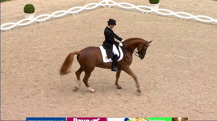 Severo Jurado & Lorenzo - Freestyle 83.3% Aachen 2...