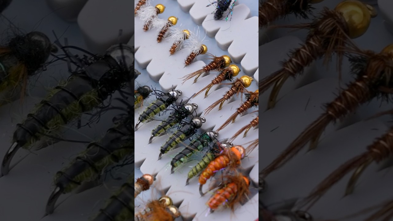 Top Flies for Fly Fishing & the Insects Behind Them