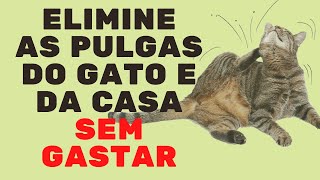 COMO ACABAR COM AS PULGAS DE MANEIRA ECONÔMICA SEM PREJUDICAR O GATO. /Vida de Gato