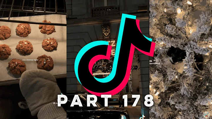 20+ MINUTES OF CHRISTMAS TIKTOK’s | CHRISTMAS COUNTDOWN | 6 days! | No. 178