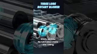 🔥 Why Stable Airflow Matters in FGD Systems | Three-Lobe Roots Blower for Power Plants
