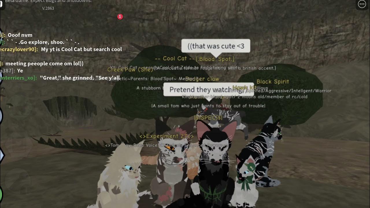 Коты воители грач. Коды в коты воители 2024. Коды в коты воители 2024. Коды в коты воители 2024. Коты воители роблокс коды.