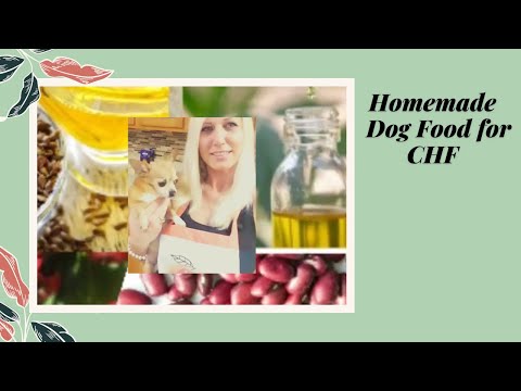 homemade-dog-food-for-congestive-heart-failure