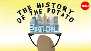 History through the eyes of the potato  Leo BearMcGuinness