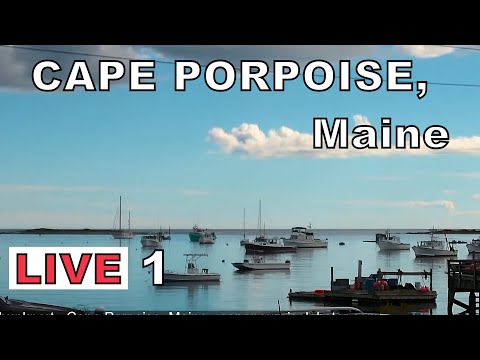 Cape Porpoise Outer Harbor Lobster Dock live cam preview