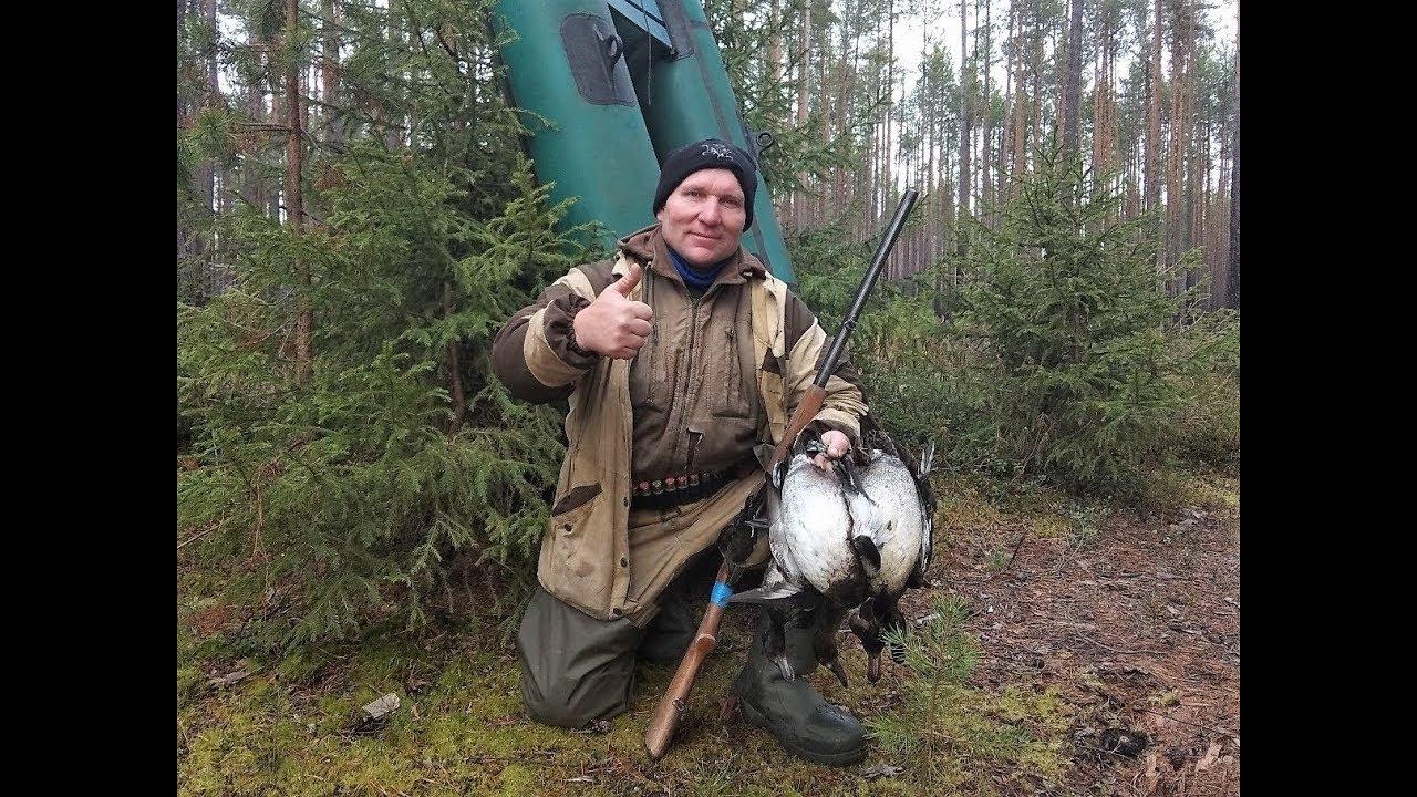ОХОТА НА УТОК \\ УДАЧНОЕ УТРО \\ Часть 2 \\ ДОБОР ПОДРАНКОВ - YouTube