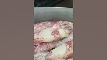 Thumbnail of SAMBAL CUMI SEGAR, PEDASNYA MANTAAP!!!