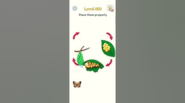 DOP 3 lvl 350 Place them properly