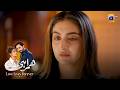 Dil Dehla Dene Wala Faisla 😢 || Humrahi || Har Pal Geo
