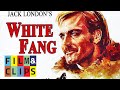 White fang  full movie by filmclips