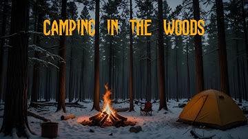 3 Hour True Creepy Camping In The Woods Horror Stories | With Rain Sound
